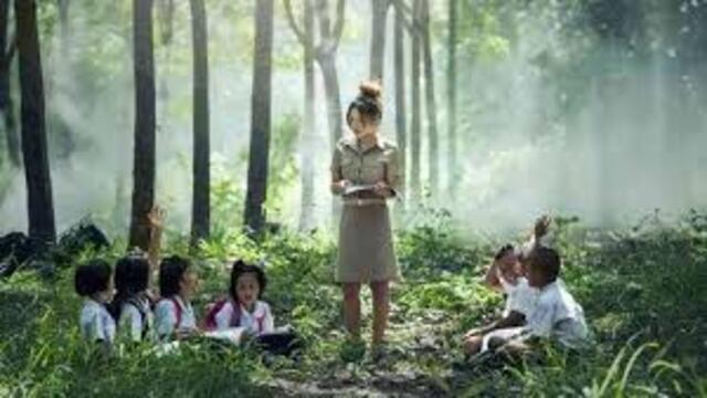 Pentingnya Pendidikan Lingkungan